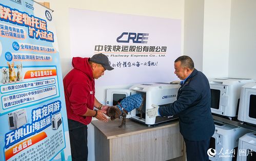 乘高铁携宠享乐游 礼仪服务指南